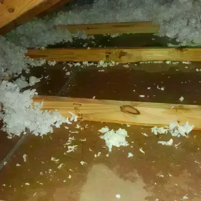 Attic Water Damage in El Portal, FL