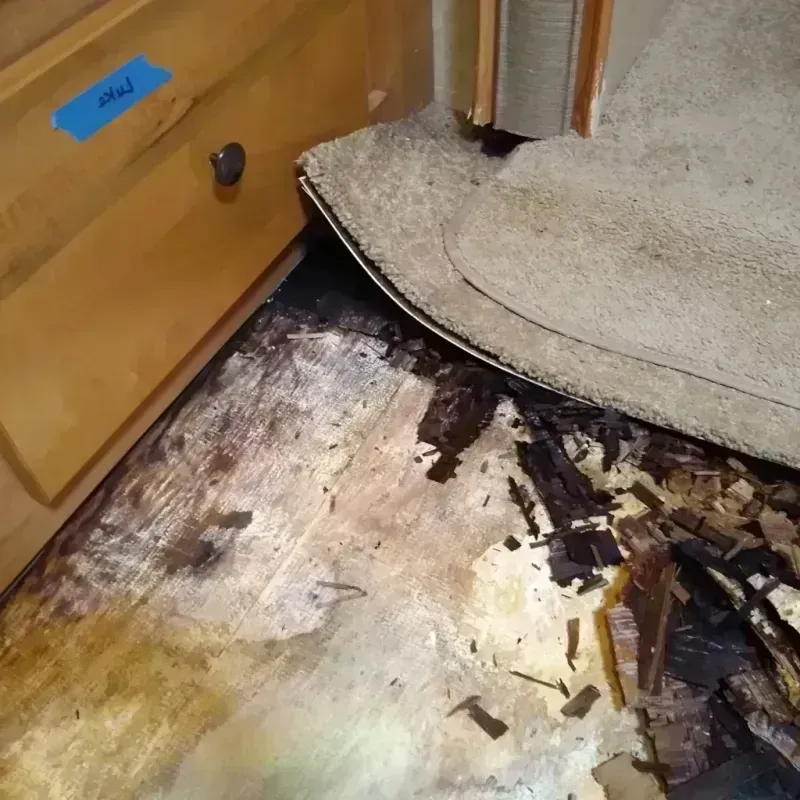 Wood Floor Water Damage in El Portal, FL